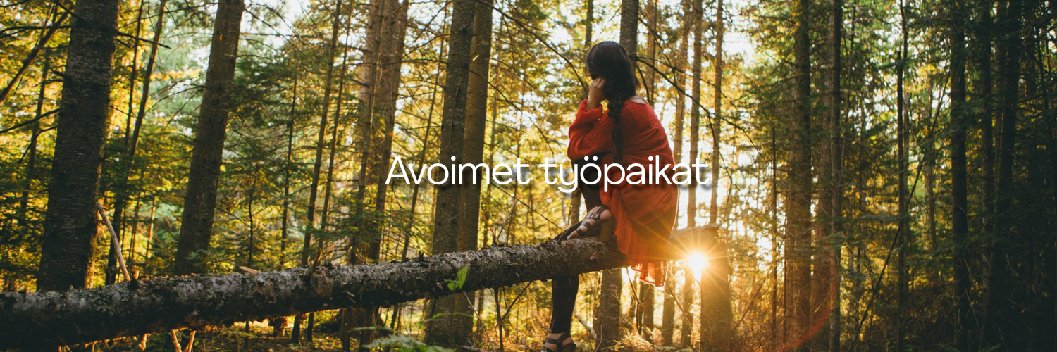 työpaikat